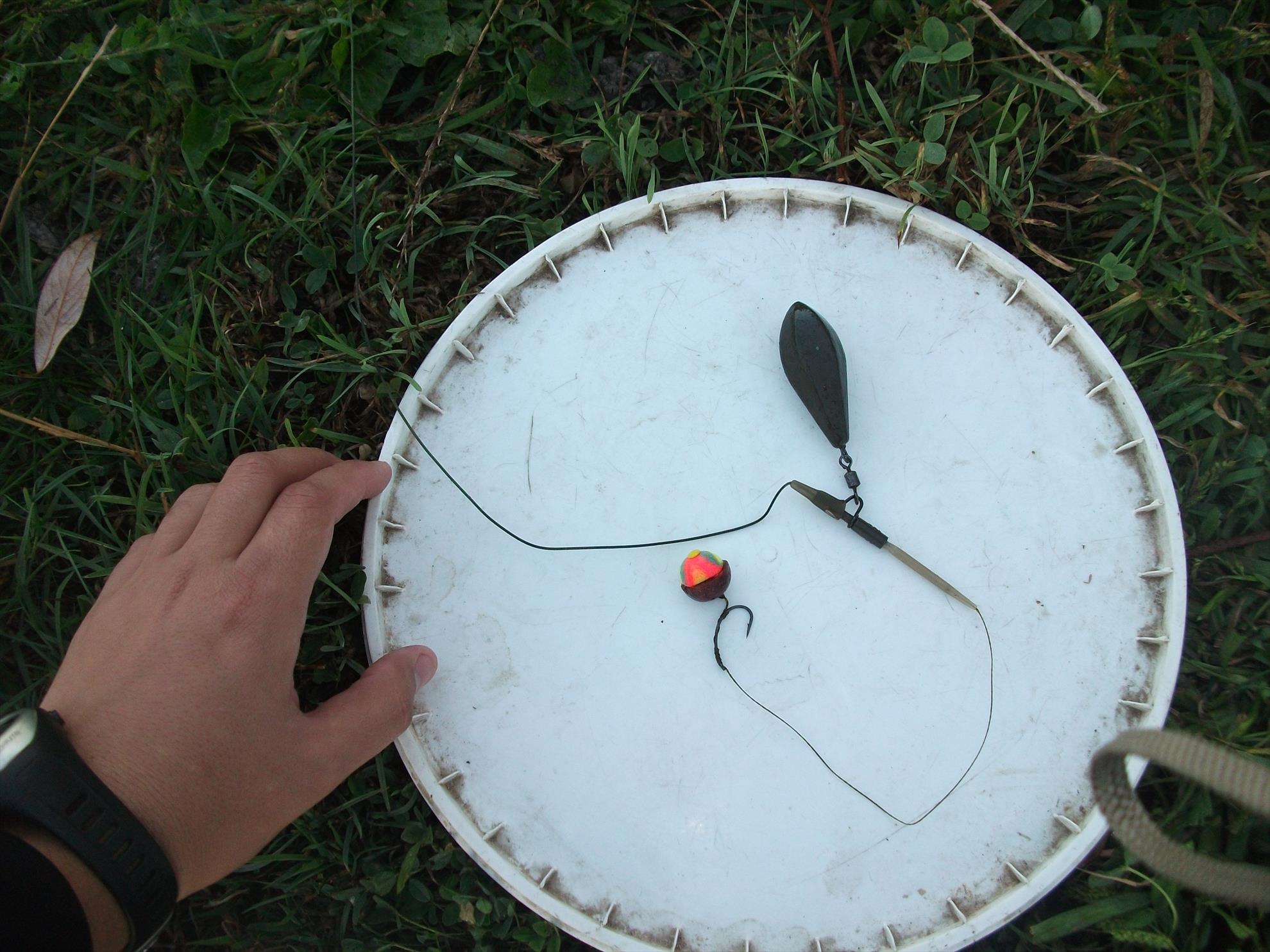 Cernica - dscf1463.jpg